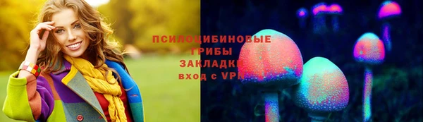 прущие крисы Осинники