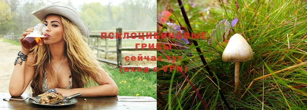 экстази Абаза