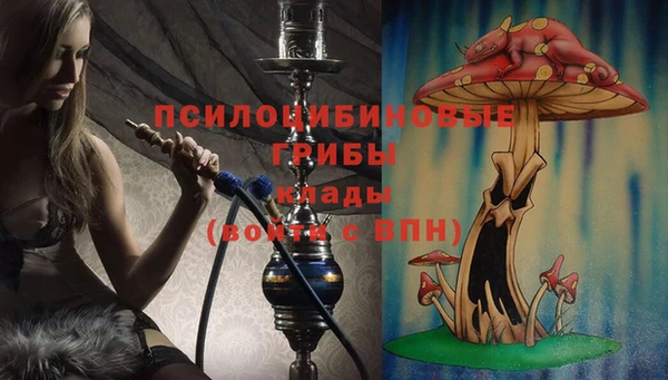 прущие крисы Осинники