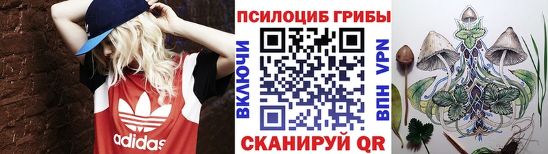 мега вход  Грязи  Псилоцибиновые грибы Magic Shrooms 